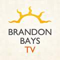 brandon bays journey pdf